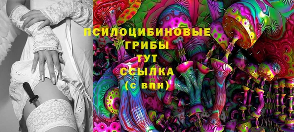 каннабис Белокуриха
