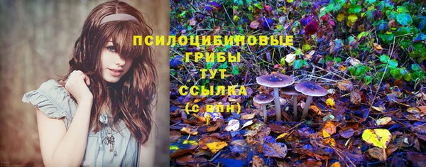 соль ск Беломорск